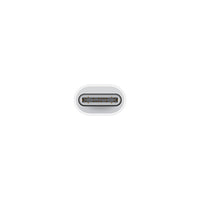 Thumbnail for Apple USB-C to Lightning Adapter