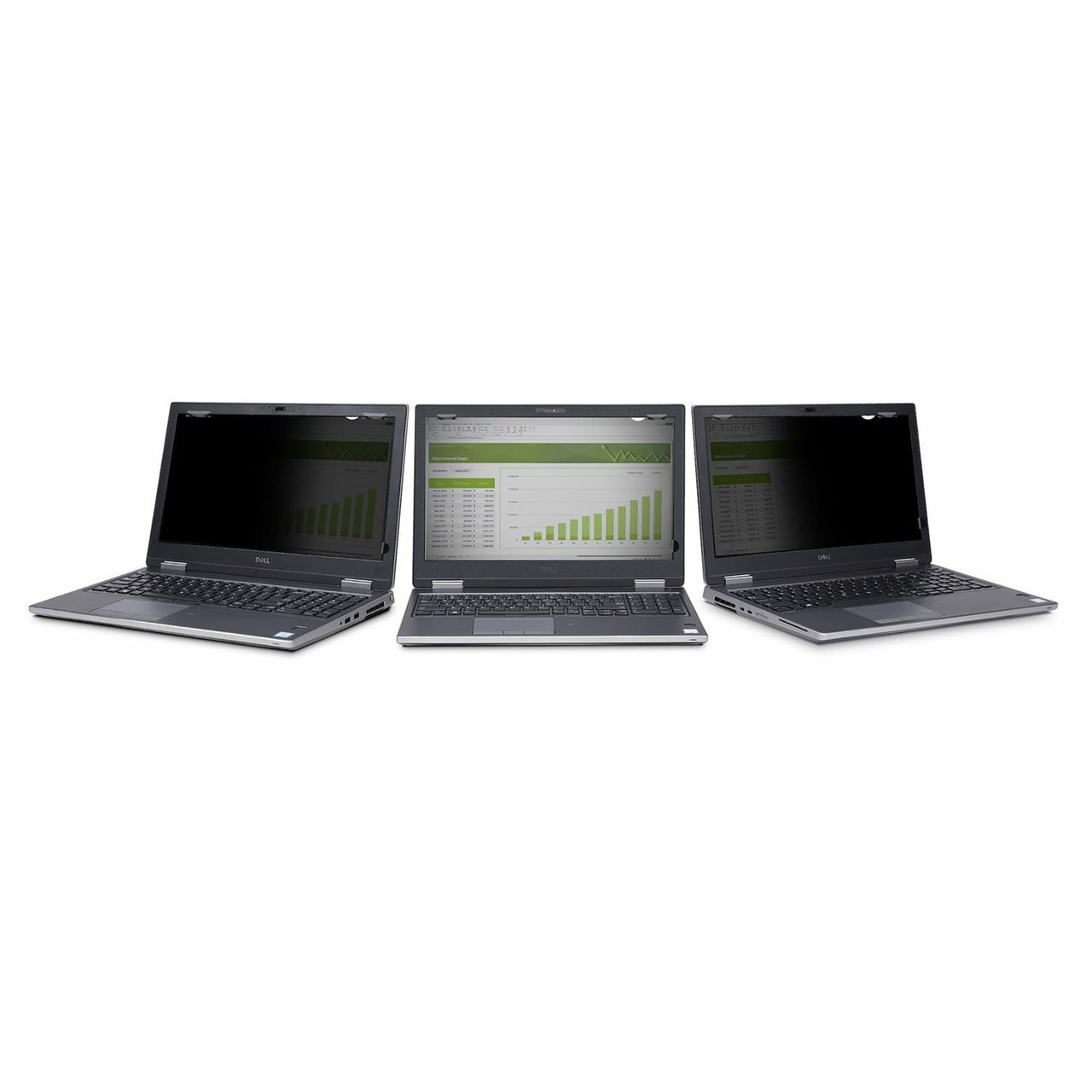 Startech Screen Protector for Laptop Monitor 13.3-inch - Transparent