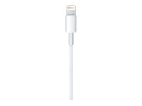 Thumbnail for Apple Lightning to USB Cable 2m - MD819