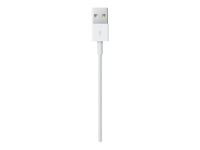 Thumbnail for Apple Lightning to USB Cable 2m - MD819