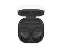 Thumbnail for Samsung Galaxy Buds True Wireless FE - Graphite