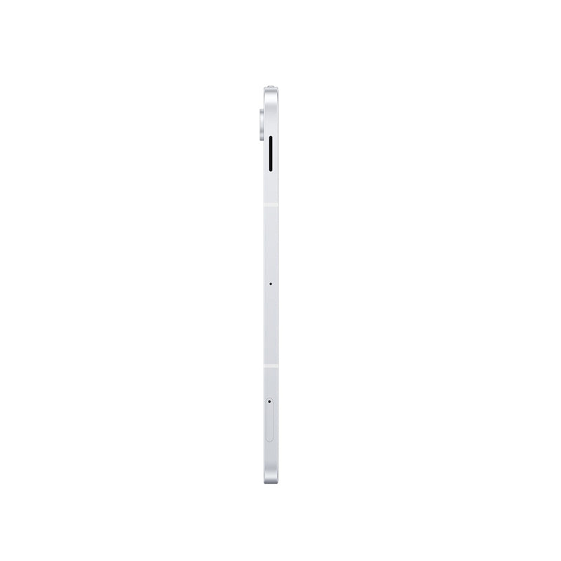Samsung Galaxy S10 FE Wi-fi Tablet 256GB- Silver