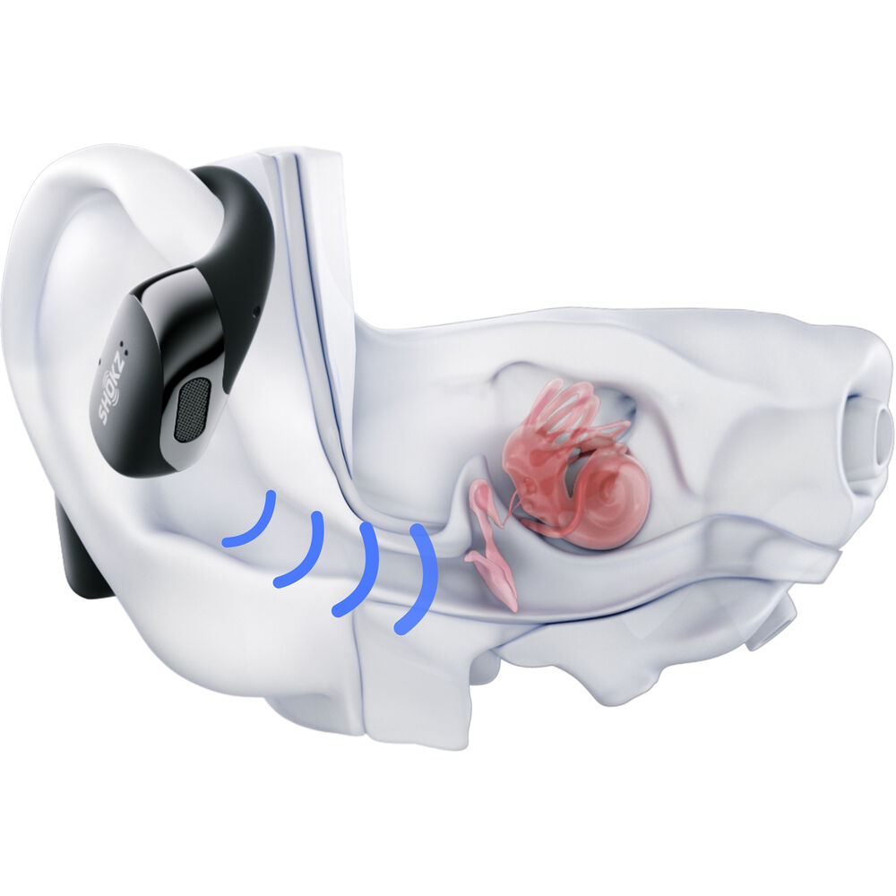Shokz OpenFit 2+ True Wireless Earbuds - Black