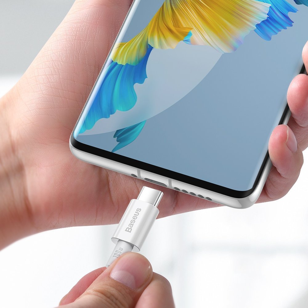 Baseus Superior Series Fast Charging Data Cable USB-C to USB-C 100W 2Meter - White