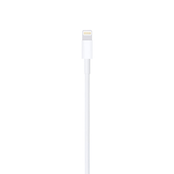 Apple MD819ZM/A Lightning to USB Cable (2m)