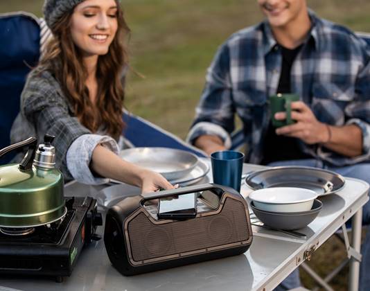 Sprout Nomad Alpha 40W Bluetooth Speaker Waterproof + Powerbank + Wireless Charging Pad  - Black