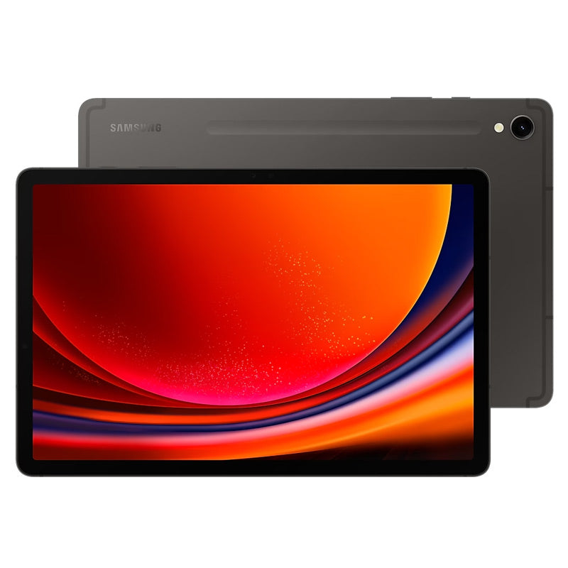 Samsung Galaxy Tab S9 Wi-Fi 256 GB - Graphite