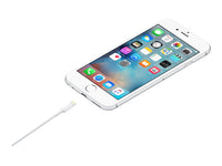 Thumbnail for Apple Lightning to USB Cable 2m - MD819