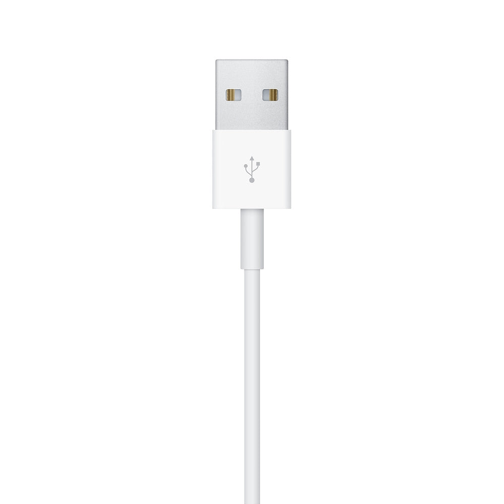 Apple Magnetic USB Charging Cable for Apple Watch (1m)