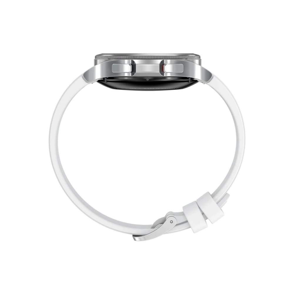 Samsung Galaxy Watch 4 Classic (42mm) Bluetooth SM-R880 - Silver - Accessories